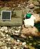 Air Pump Solar Oxygenator Plus
