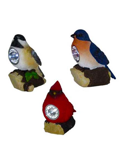 bird buddy solar bird buddy solar