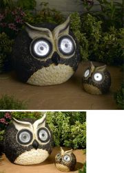 Solar Owl Accent Light Set