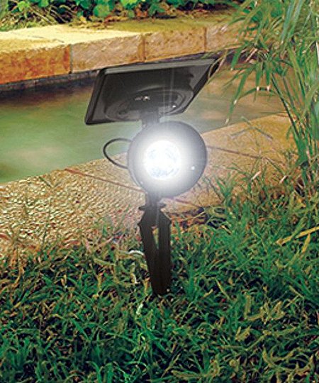 solid synet Beregn Progressive Solar Spotlight