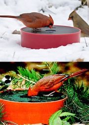 Wild Bird Deluxe Solar Sipper