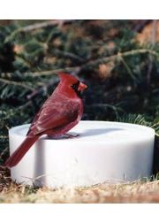 Super Solar Sipper Bird Watering Station