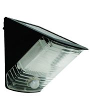 Black Wedge Motion Activated Solar Spotlight